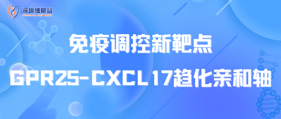 免疫调控新靶点：GPR25-CXCL17趋化亲和轴